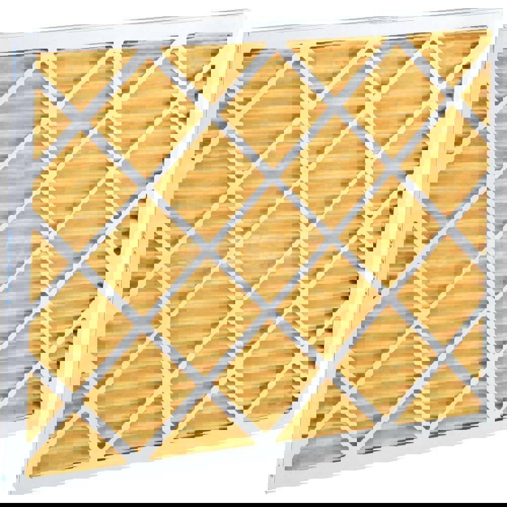 Pleated Air Filter: 20 x 24 x 1